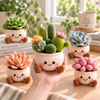 Five crochet succulent decor styles displayed together in a bright cozy room