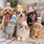 Crochet Pet Hat – Birthday Party Styles