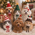 Crochet Pet Hat – Christmas Holiday Styles