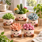 Five handmade crochet succulent pots arranged together on a wooden surface