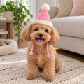 Crochet Pet Hat – Birthday Party Styles