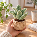 Fuzzy Succulent crochet plant decor held by hand in a bright indoor setting