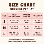 Crochet Pet Hat – Birthday Party Styles